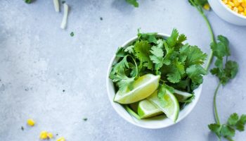 Lime and cilantro ramen topping