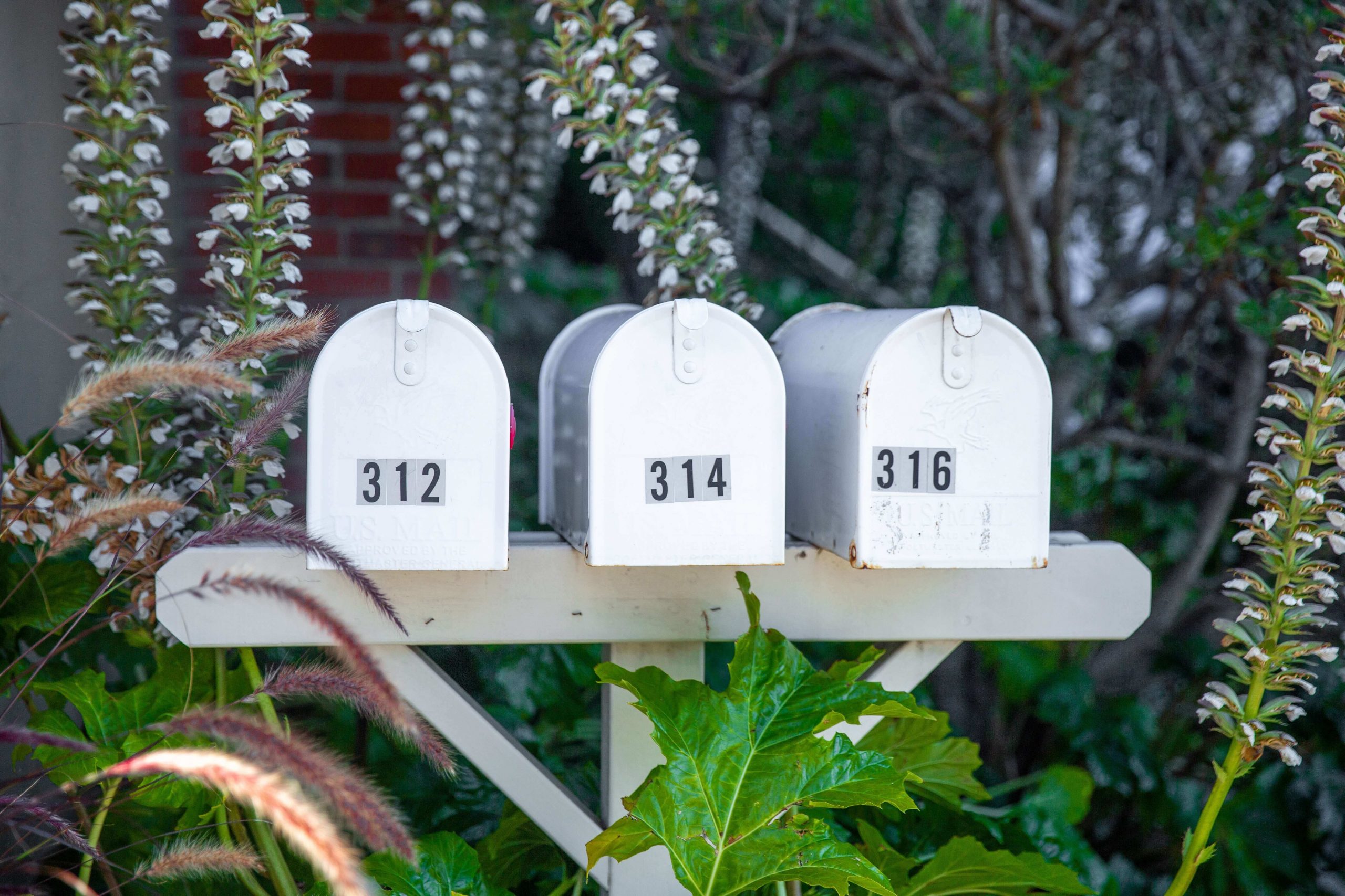 Row of mailboxes