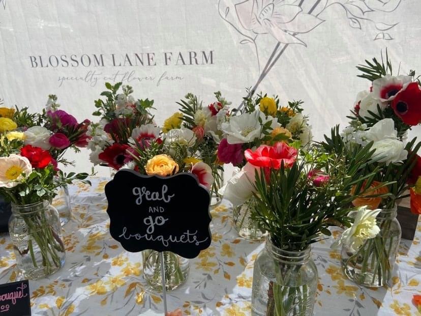 Sign that reads Grab and Go Bouquets on colorful floral bouquets in mason jars | Blossom Lane Farm booth setup at Palafox Market