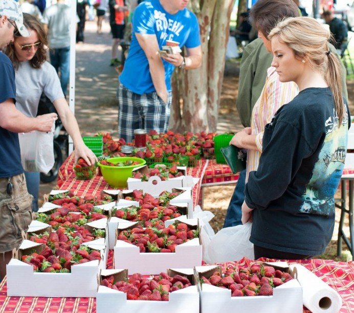 Photo of Strawberry produce seller at Palafox Market in Downtown Pensacola