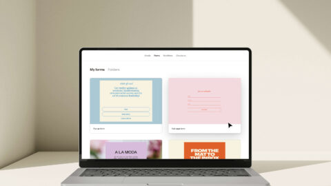 Flodesk Email marketing dashboard mockup on a laptop