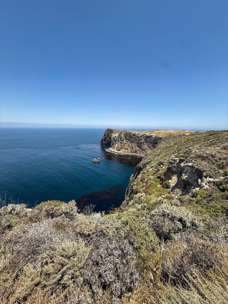 Steep coastal cliffs jutting into the blue Pacific along the Potato Harbor Overlook trail in Channel Islands National Park